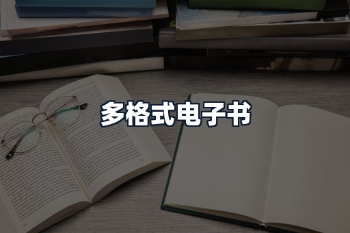 多格式电子书